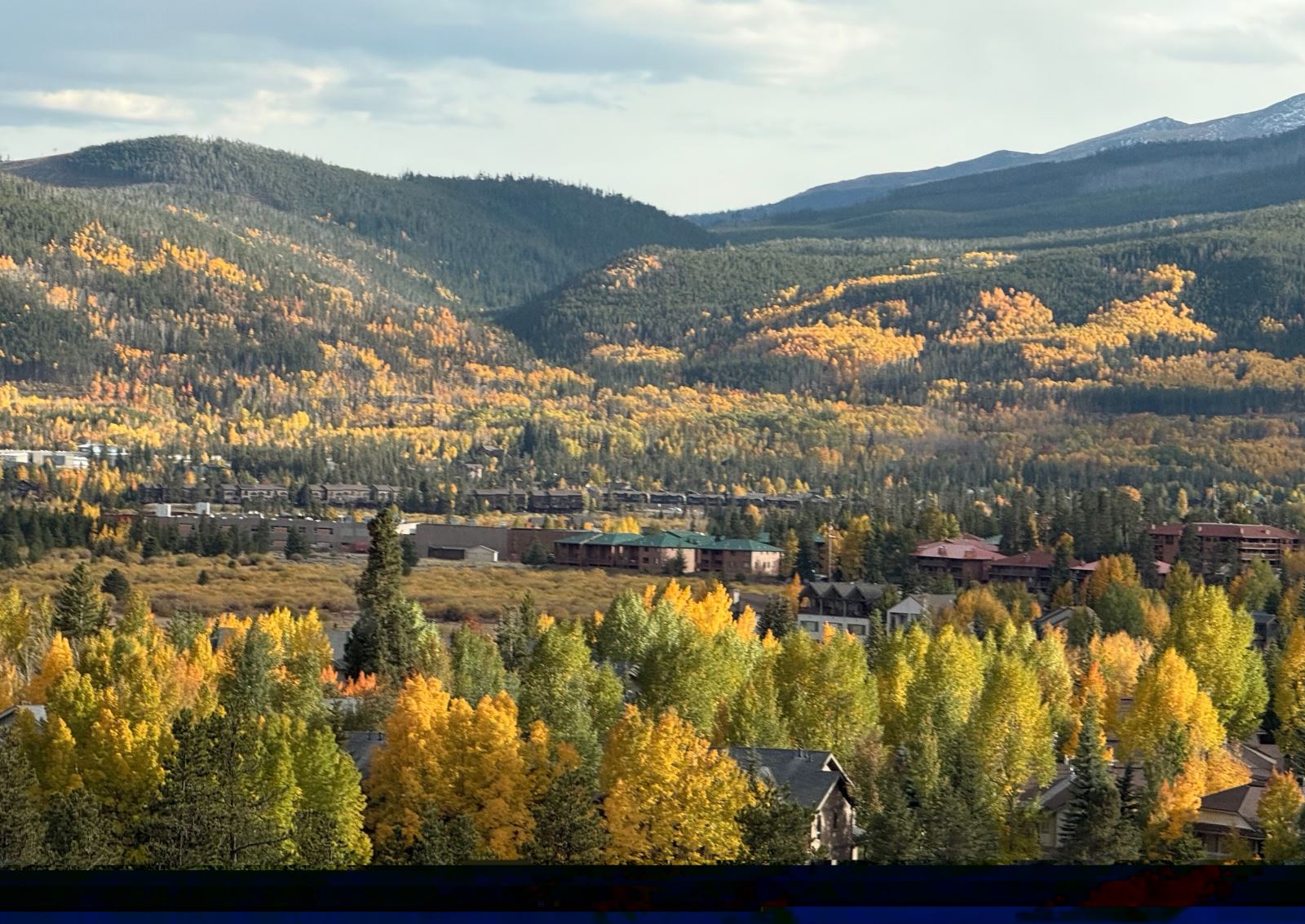 A landscape with trees and mountainsAI-generated content may be incorrect.