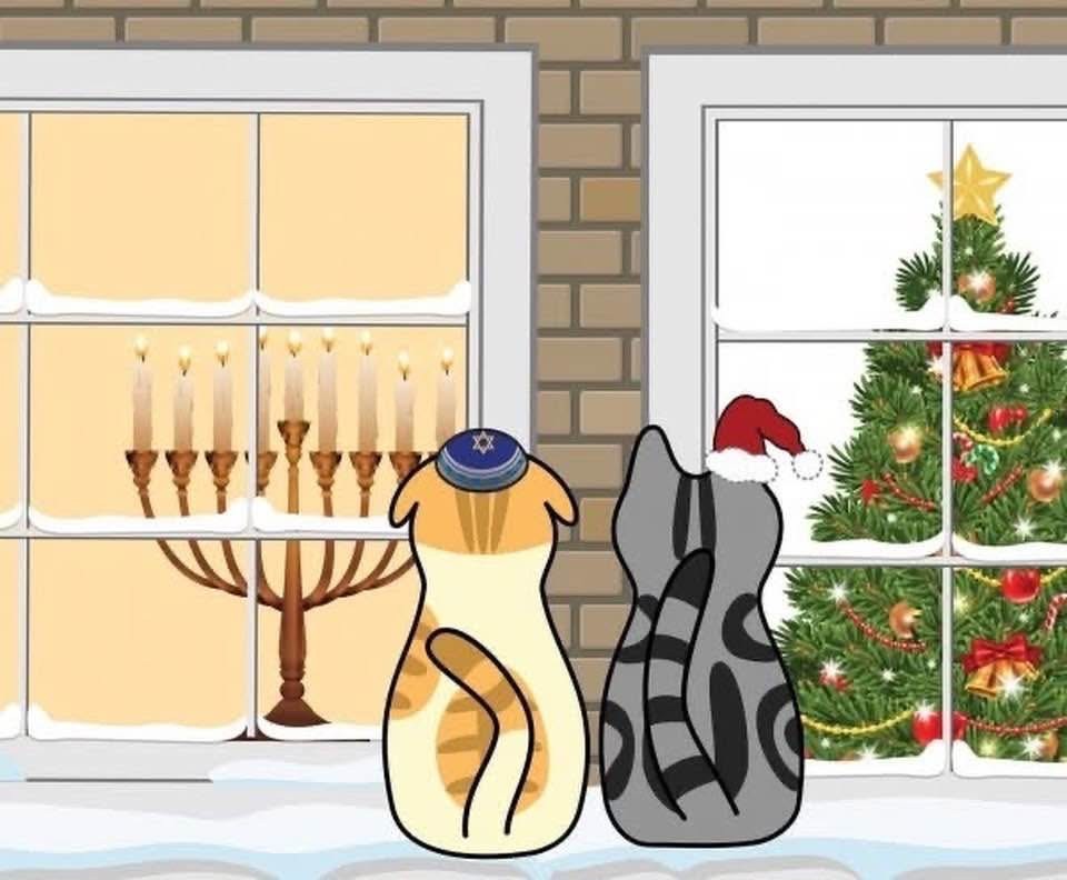 A cat looking at a christmas treeAI-generated content may be incorrect.